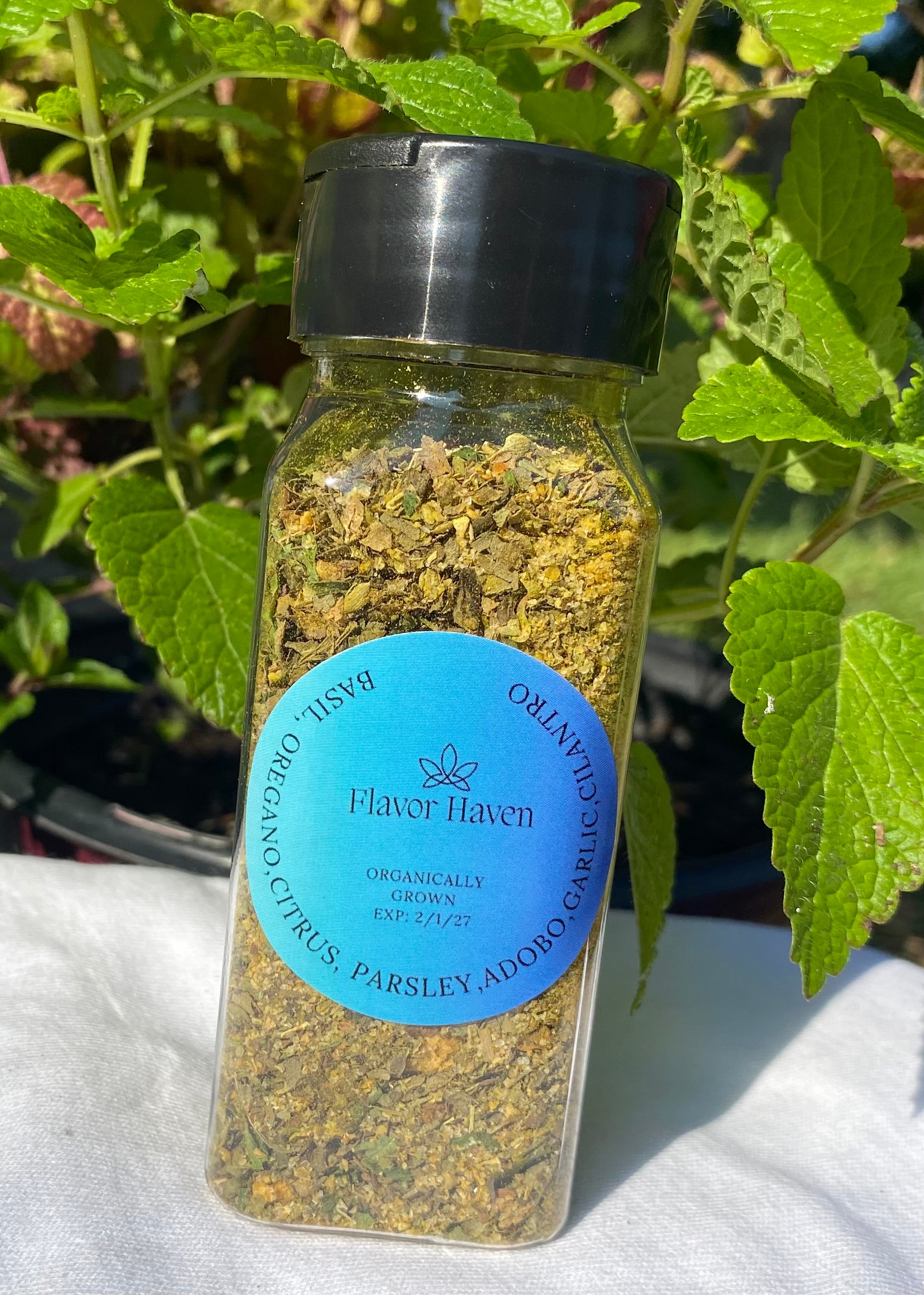 Flavor Haven: Seasoning Blend